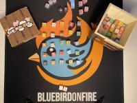 Bluebird on Fire