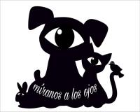 Asociación Míranos a los ojos